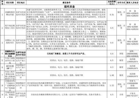 西藏2012年招商引资项目xls_word文档在线阅读与下载_无忧文档