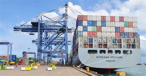 DP World Chennai adds direct connectivity to China, South East Asia