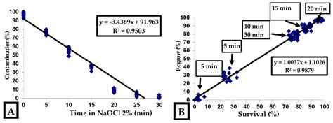 Innovative Protocols for Blackberry Propagation: In Vitro Cultivation ...