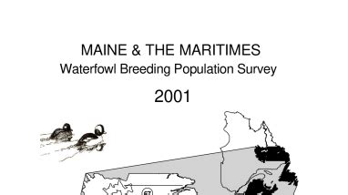 Waterfowl breeding population survey for Maine and the Maritimes | FWS.gov