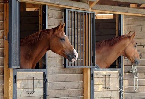 Horse Boarding Barn Best Practices – The Horse