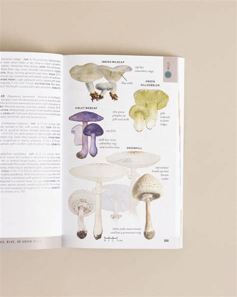 Field Guide To Mushrooms (4) - Longwood Gardens