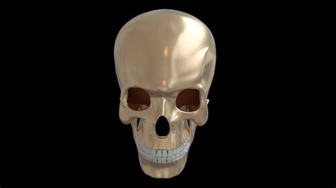 Skull - 3D Model by LBDesigner