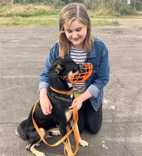 We put our 'healthy' dogs to sleep - here's why