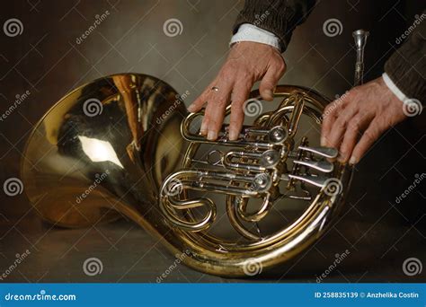 French Horn History Timeline at Anne Nelson blog