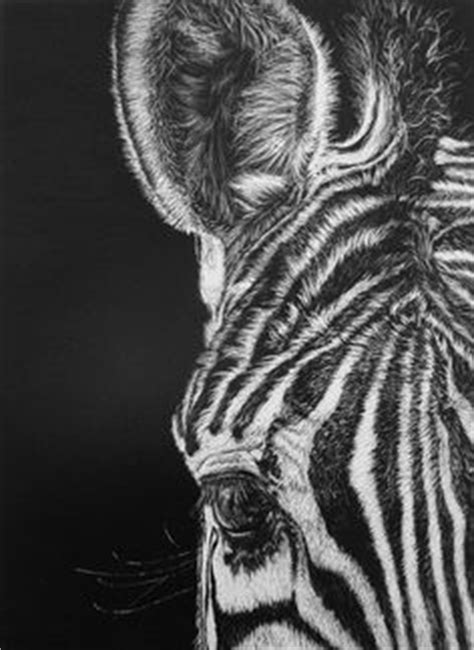 Image result for Scratchboard Examples