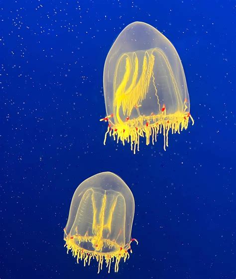 Kirsten Kaye Yu (@_kirsten.yu_) • Instagram photos and videos