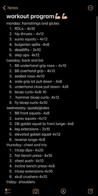 Exercise Program 的图像结果