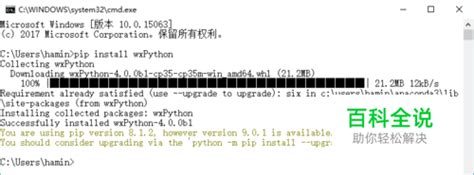 wxPython Example Code 的图像结果