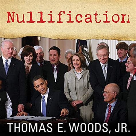 Nullification Example Picture 的图像结果