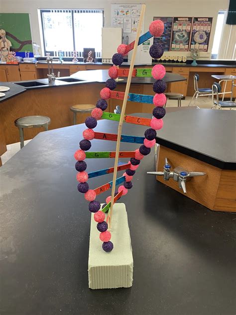 Dna Structure Model Project