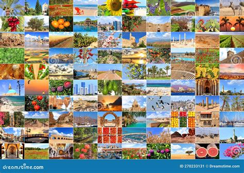 Israel. a Country of Three Religions, Nature and Agriculture, Sea and Desert Stock Image - Image ...