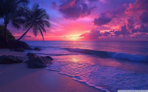 Image result for Gradient Color Sample with Color Code