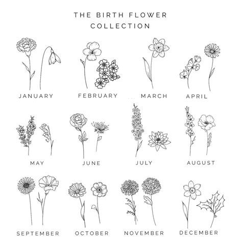 Floral Birth Flowers