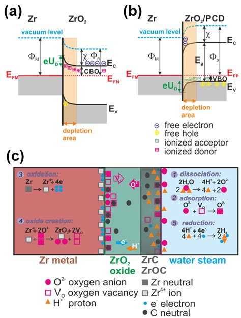 Diamond Coating Reduces Nuclear Fuel Rod Corrosion at Accidental ...