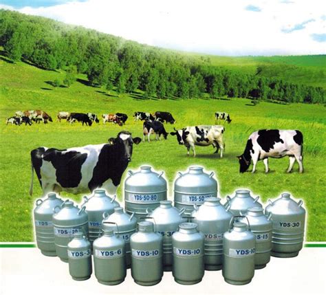 Buy MXBAOHENG Cryogenic Liquid Nitrogen Storage Tank YDS series ...