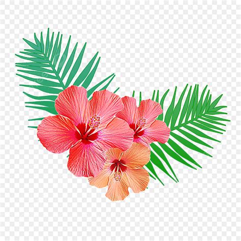 Tropical Flowers Clipart | Best Flower Site