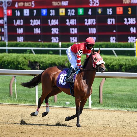 Horse Jockey