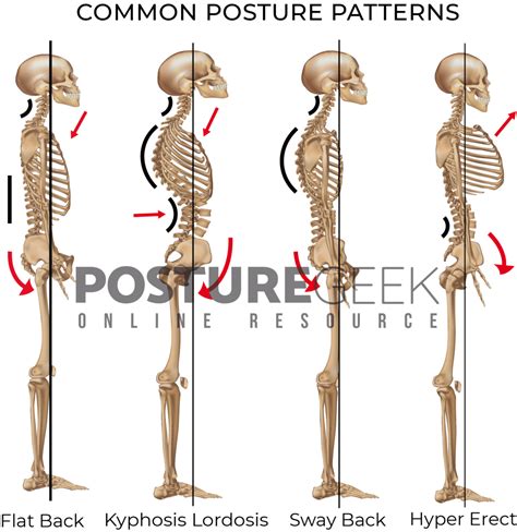 Different Types of Posture 的图像结果