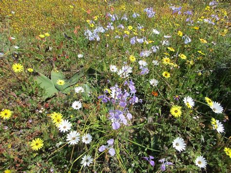 10 BEST Places to Visit in Northern Cape - UPDATED 2022 (with Photos ...