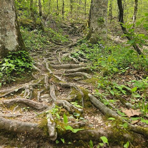 FALL HOLLOW FALLS - All You Need to Know BEFORE You Go 2026 (with ...