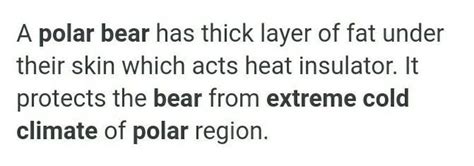 Which features adapt polar bear to live in extremely cold climate ...