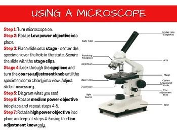 Science Lab Signs Elementary School 的图像结果