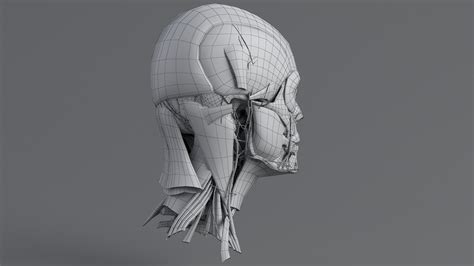 Head First Python Design Patterns に対する画像結果