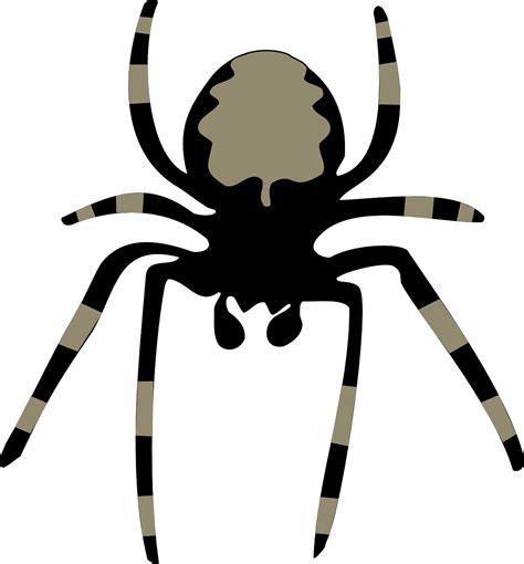 Spider Download Clip art - spider png download - 1188*1280 - Free ...