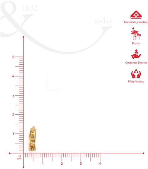 Earrings | Buy Circle Stone Studded Earrings @OnlinePNG – P. N. Gadgil ...