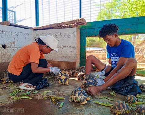In the Field Archives - Turtle Survival Alliance