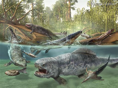 Devonian Period: Climate, Animals & Plants | Paleontology World