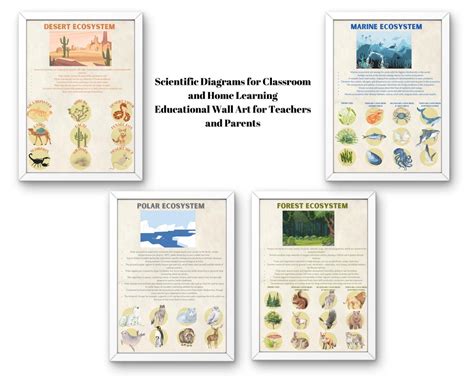 Science Educational Posters 的图像结果