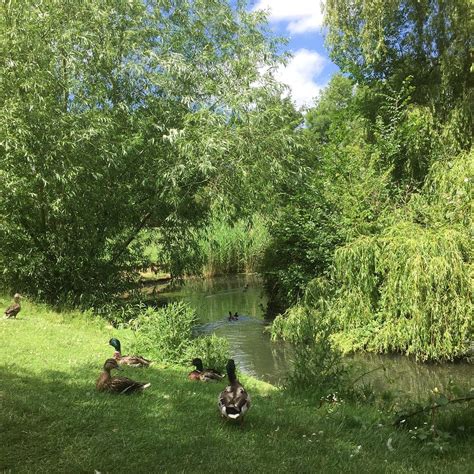 FISHPONDS PARK (2026) All You Need to Know BEFORE You Go (with Photos ...