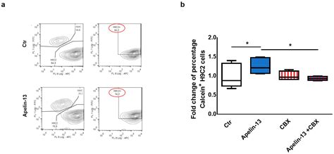 Apelin-13 Increases Functional Connexin-43 through Autophagy Inhibition ...