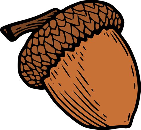 Clip Art Acorn