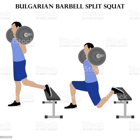 Bulgarian Barbell Split Squat Exercise Strength Workout Vector ...