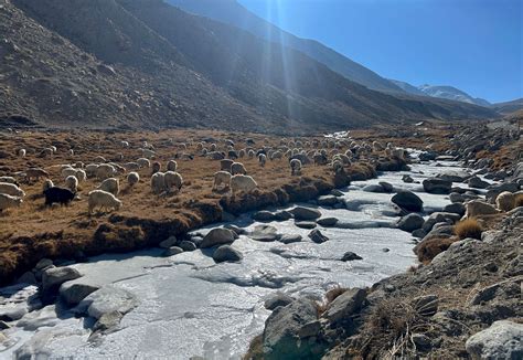 11 stunning winter experiences in Ladakh | Condé Nast Traveller India