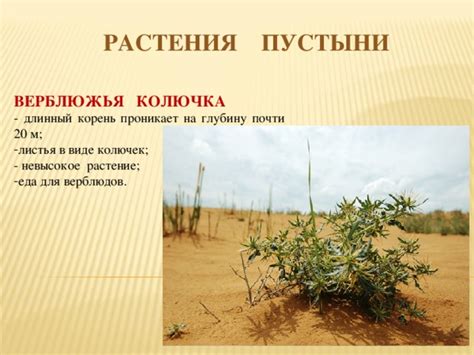 Презентация по теме "Пустыни", окружающий мир 4 класс, УМК «Школа России"
