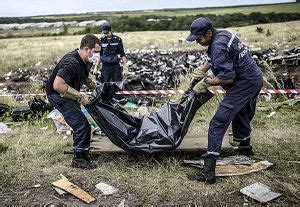 MH17坠落目击者:天降尸雨 还有人静坐在座位上|MH17|空难|坠毁_新浪新闻