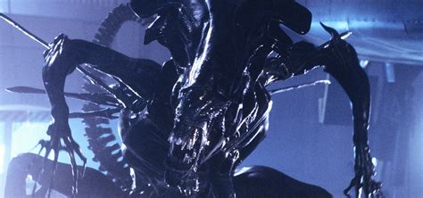 Image result for Alien Xenomorph Lore