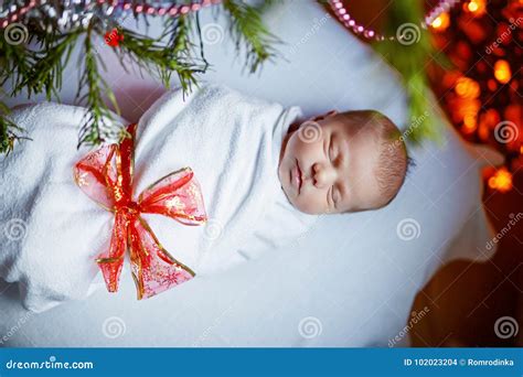 One Week Old Newborn Baby Wrapped in Blanket Near Christmas Tree Stock ...