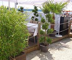 sichtschutz terrasse pflanzen bambus als sichtschutz f 252 r terasse und balkon bambus und sichtschutz terrasse pflanzen bambus als sichtschutz f 252 r terasse und balkon bambus und