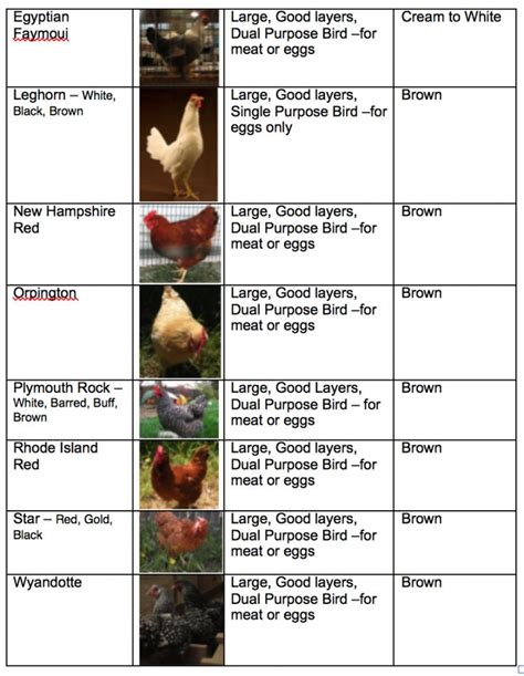 Image result for Chicken Fried Tutorial