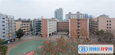 四川省绵阳第一中学2024年招生计划