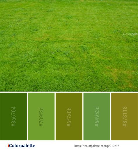 Color Palette Ideas from Lawn Grass Green Image | iColorpalette