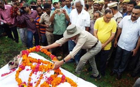 Photo finish: Last visuals of Machli, the tigress who ruled Ranthambore ...