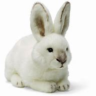 Image result for Easter Bunny Plush