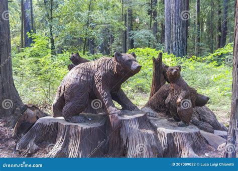 Wood animals editorial photography. Image of gold, canadian - 207009032
