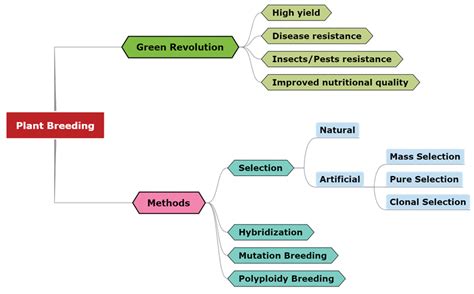 Mind map — lesson. Science State Board, Class 10.